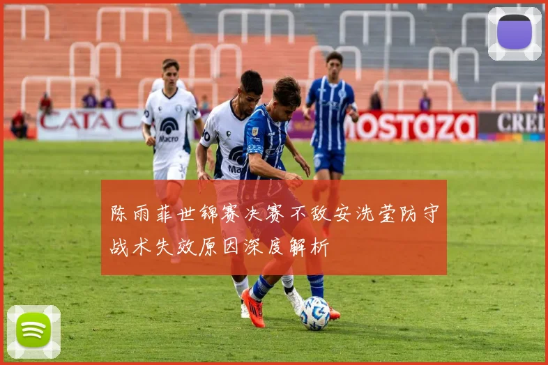 陈雨菲世锦赛决赛不敌安洗莹防守战术失效原因深度解析