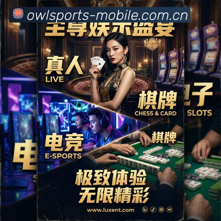 多媒体互动体验